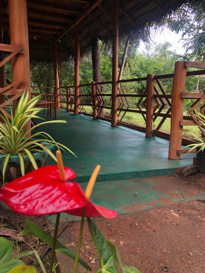 Sigiri Lion Eco Palace Sigiriya Exterior photo