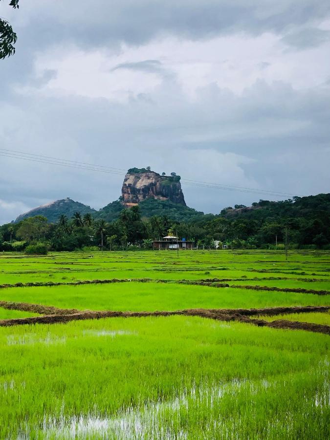 Sigiri Lion Eco Palace Sigiriya Exterior photo