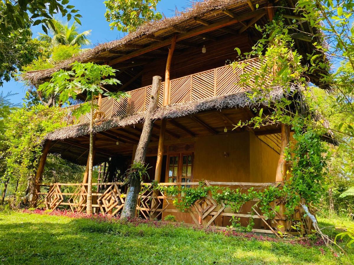 Sigiri Lion Eco Palace Sigiriya Exterior photo
