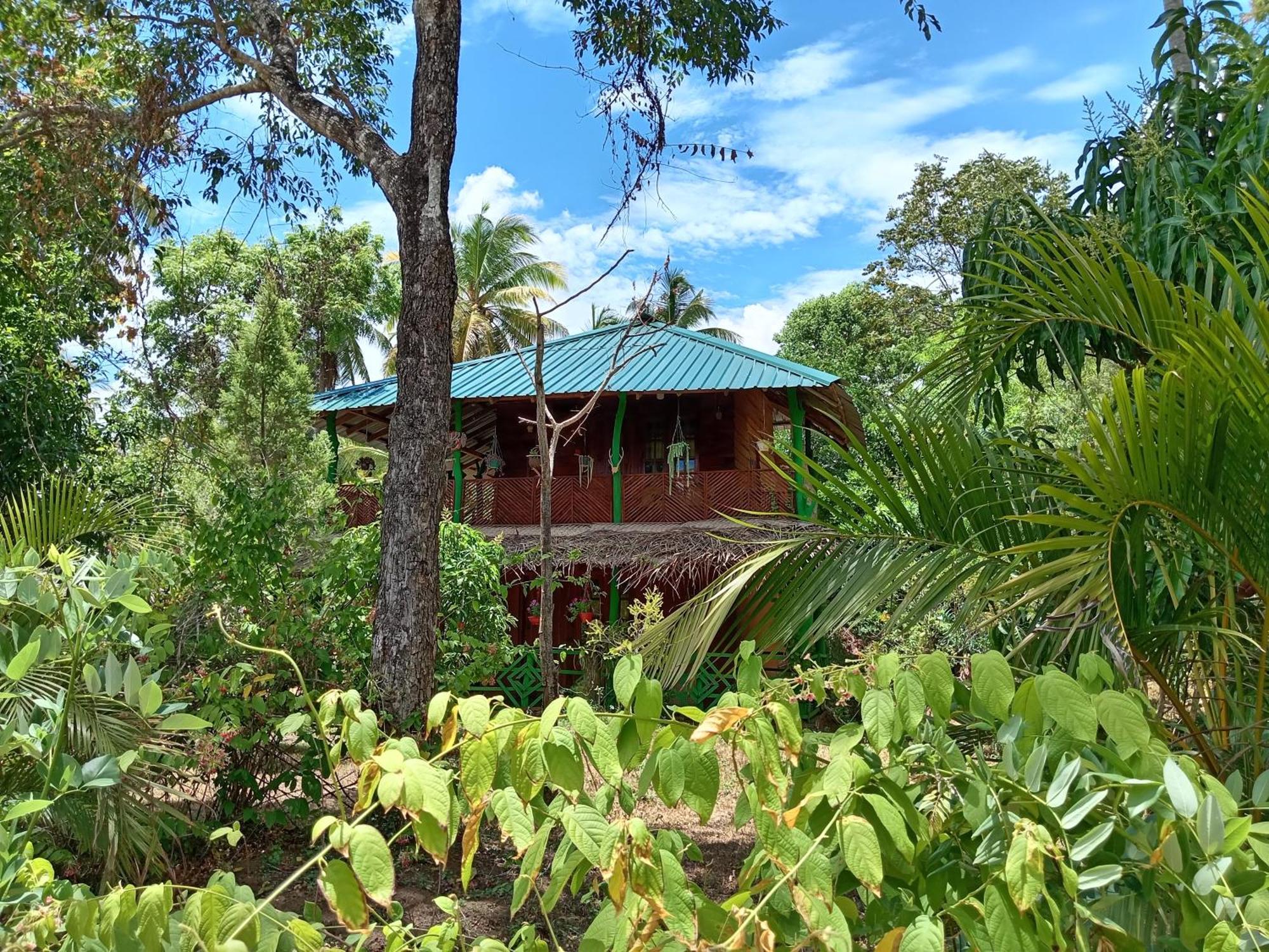 Sigiri Lion Eco Palace Sigiriya Exterior photo