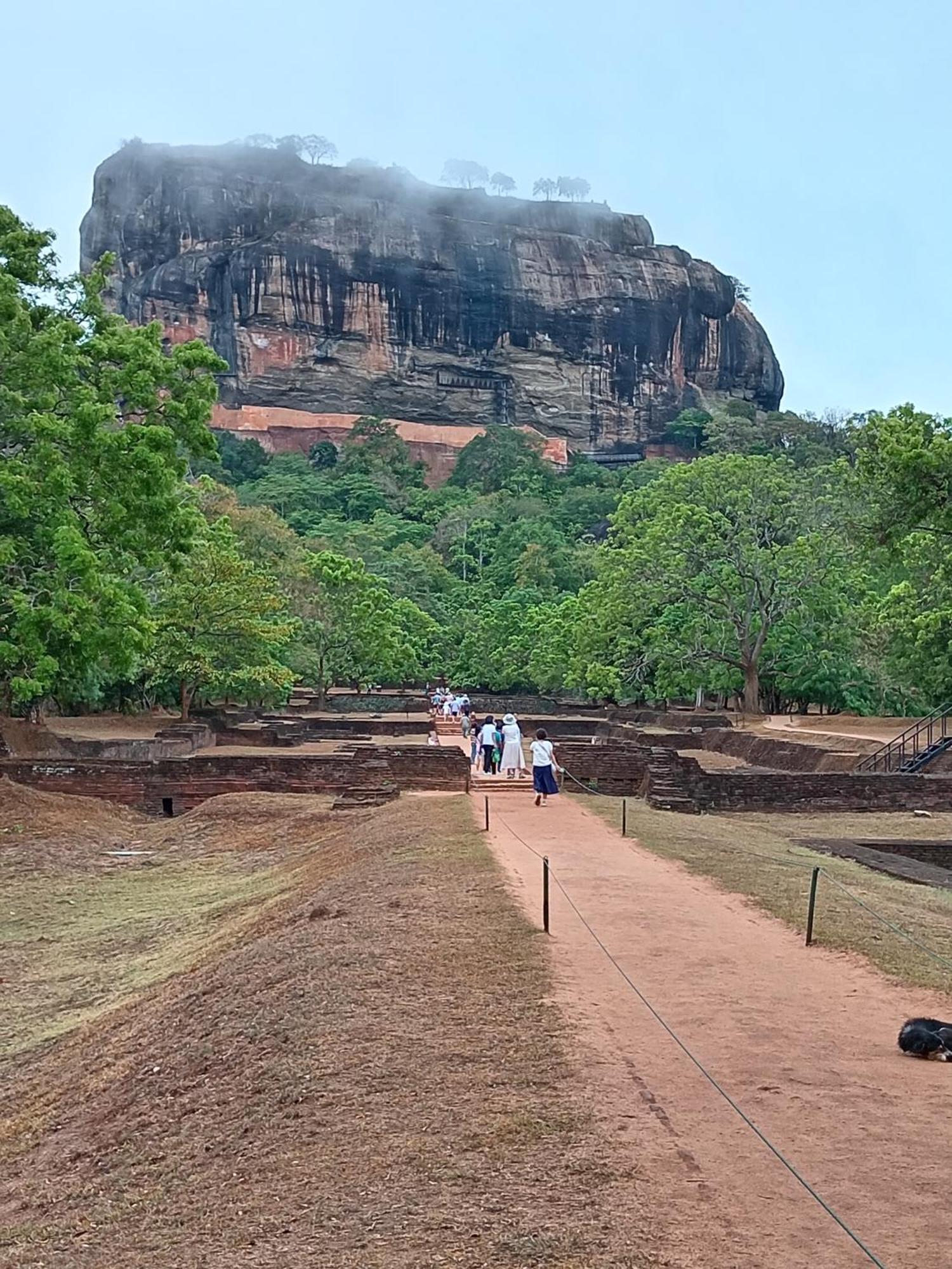 Sigiri Lion Eco Palace Sigiriya Exterior photo